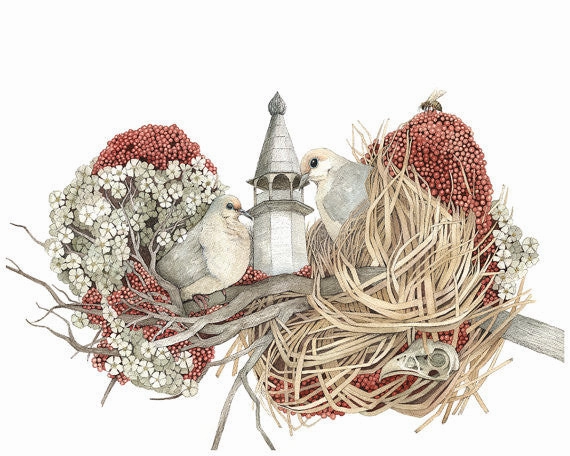 House of Dove - Art Print framed wall decor