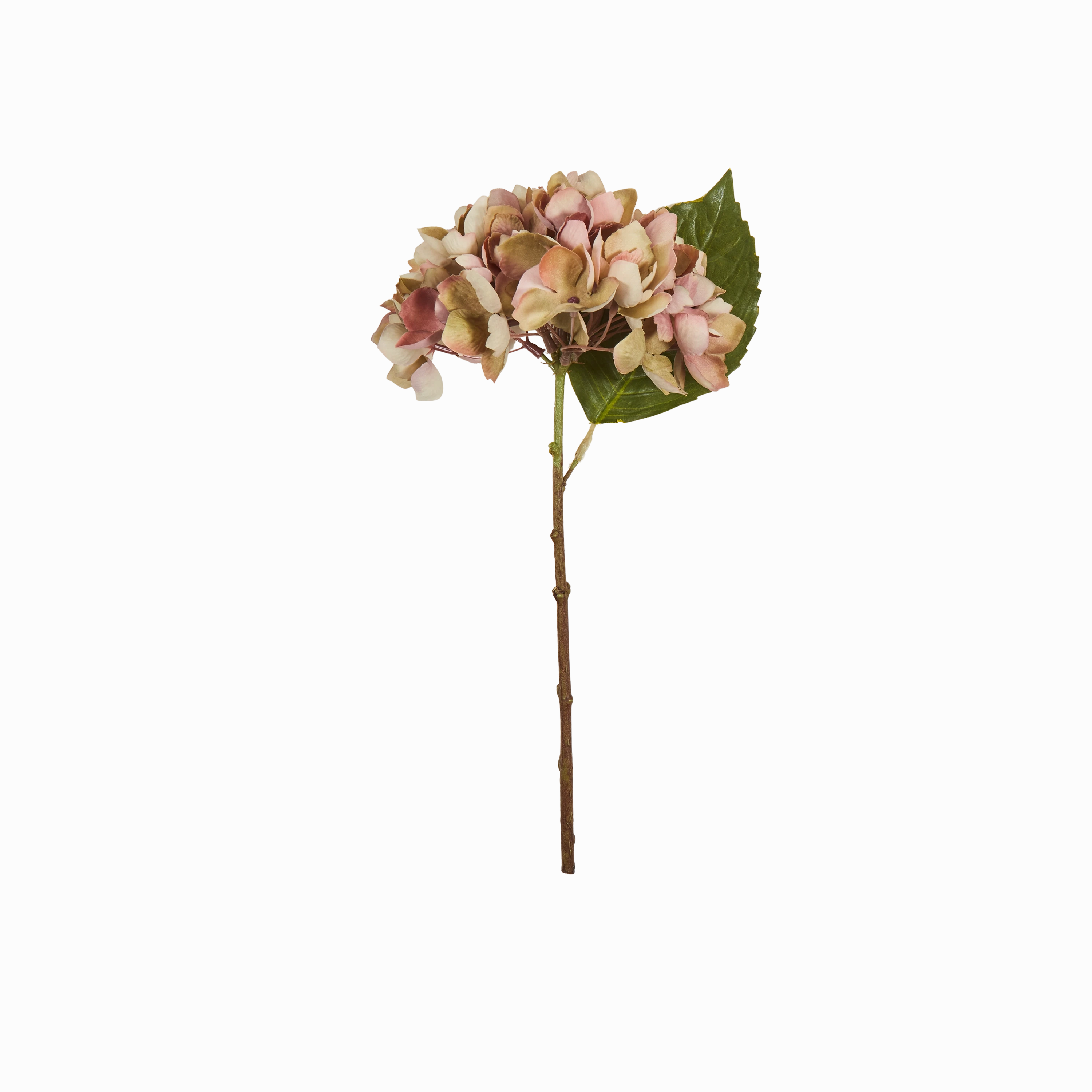 Hydrangea Stem elegant wall decor