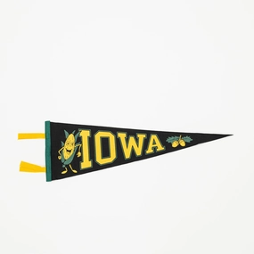 Iowa Pennant: Vintage Style Wall Pennant dreamcatcher wall hanging