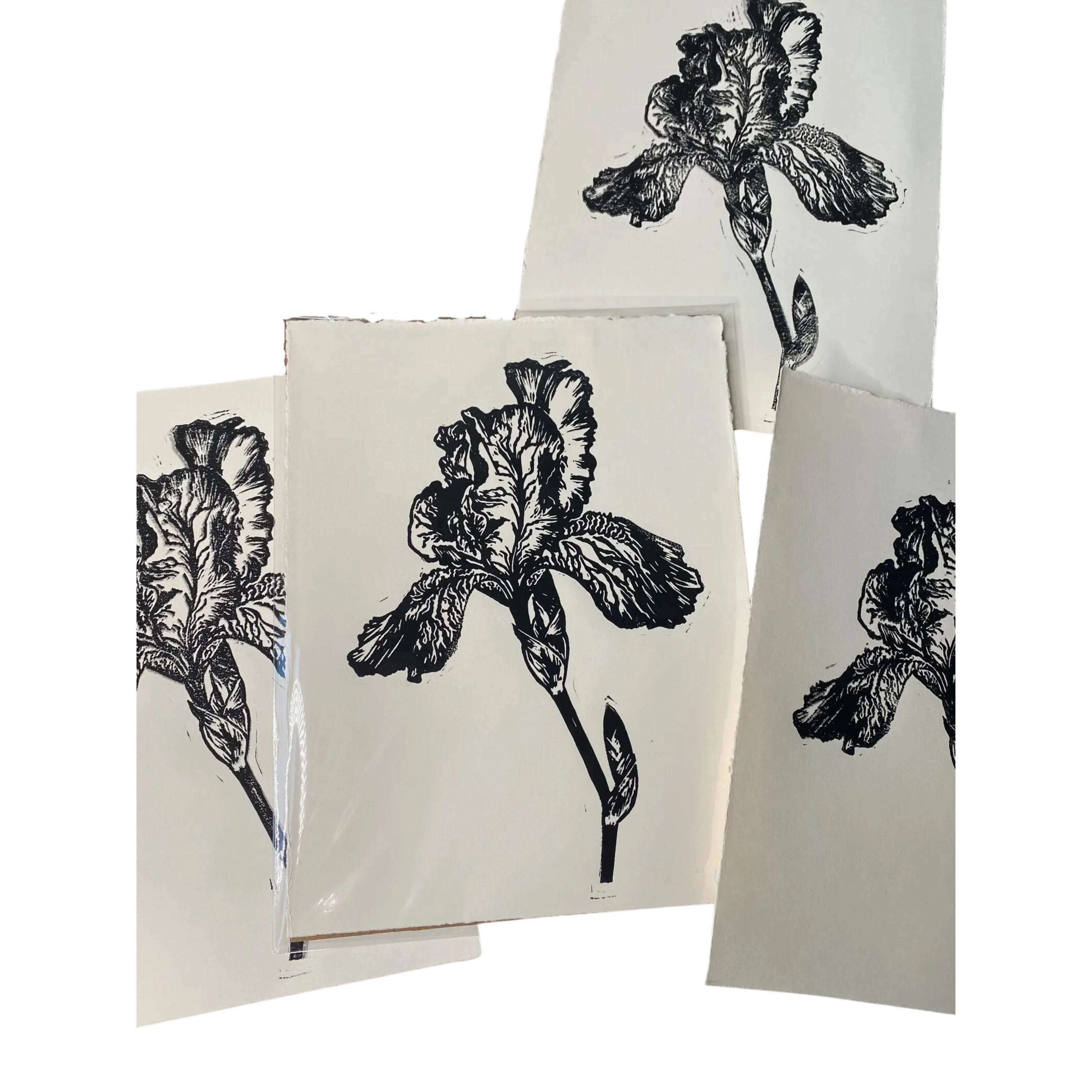 Iris Linocut Print framed wall decor