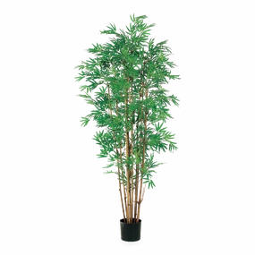 Japanese Bamboo Tree elegant wall decor