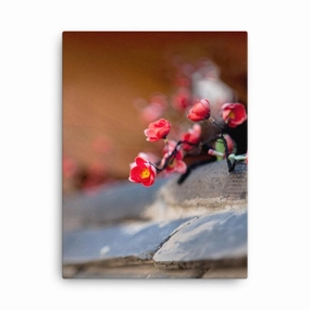 korean wall - canvas canvas mural art