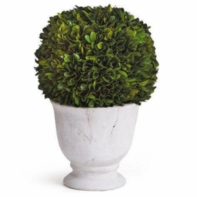 Large Boxwood Ball Topiary in Pot home display ornament