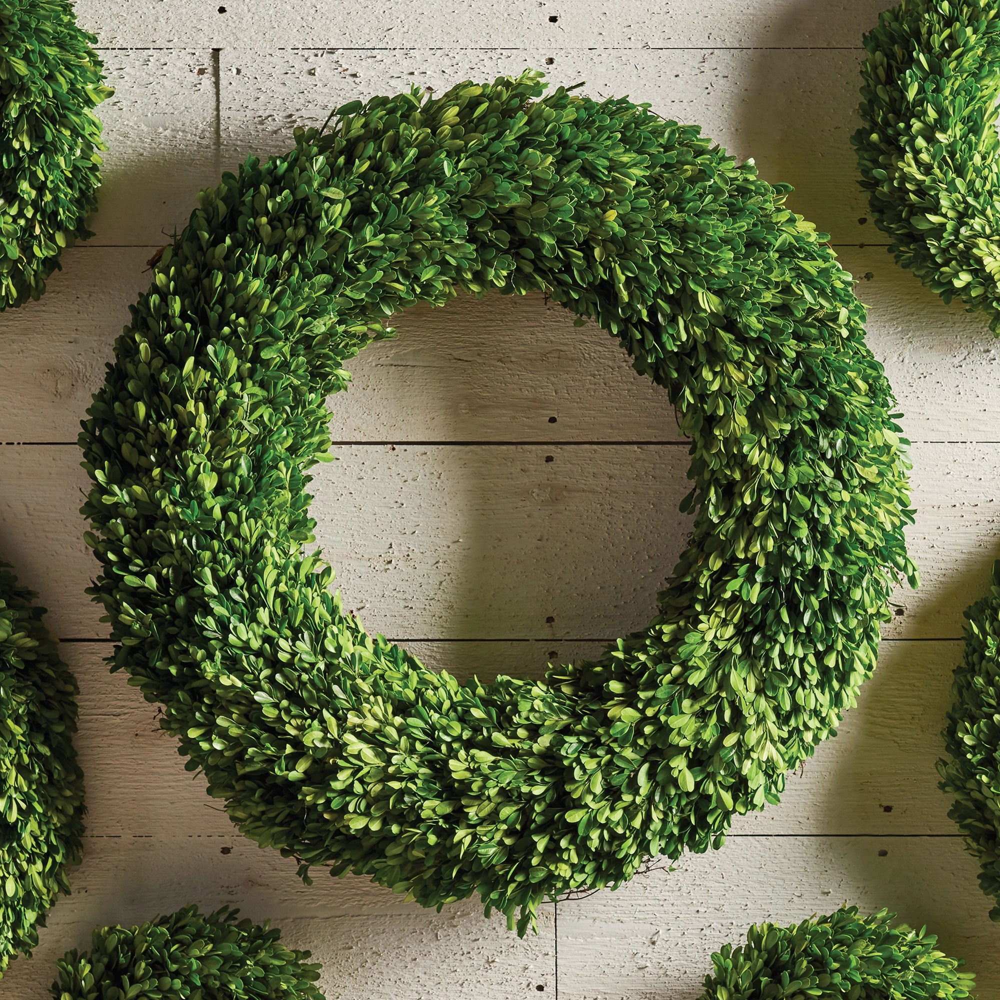 Large Boxwood Wreath