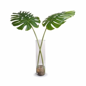 Large Faux Monstera Branches in Tall Glass Cylinder home display ornament