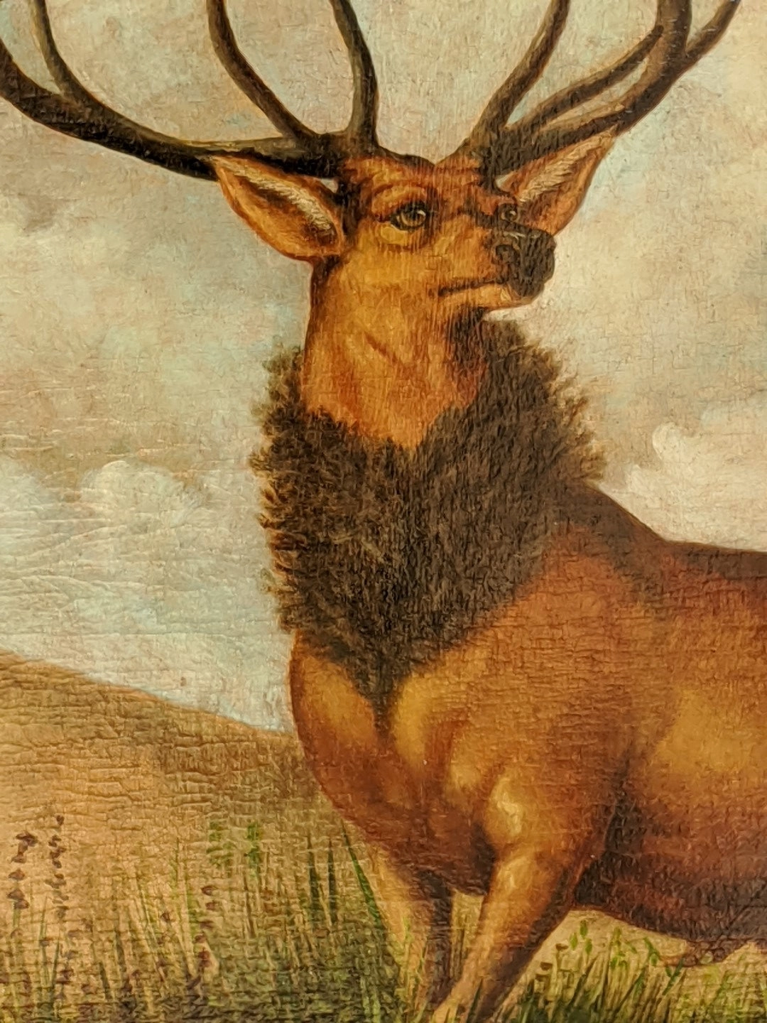 LARGE STAG OIL PAINTING IN GOLD FRAME
