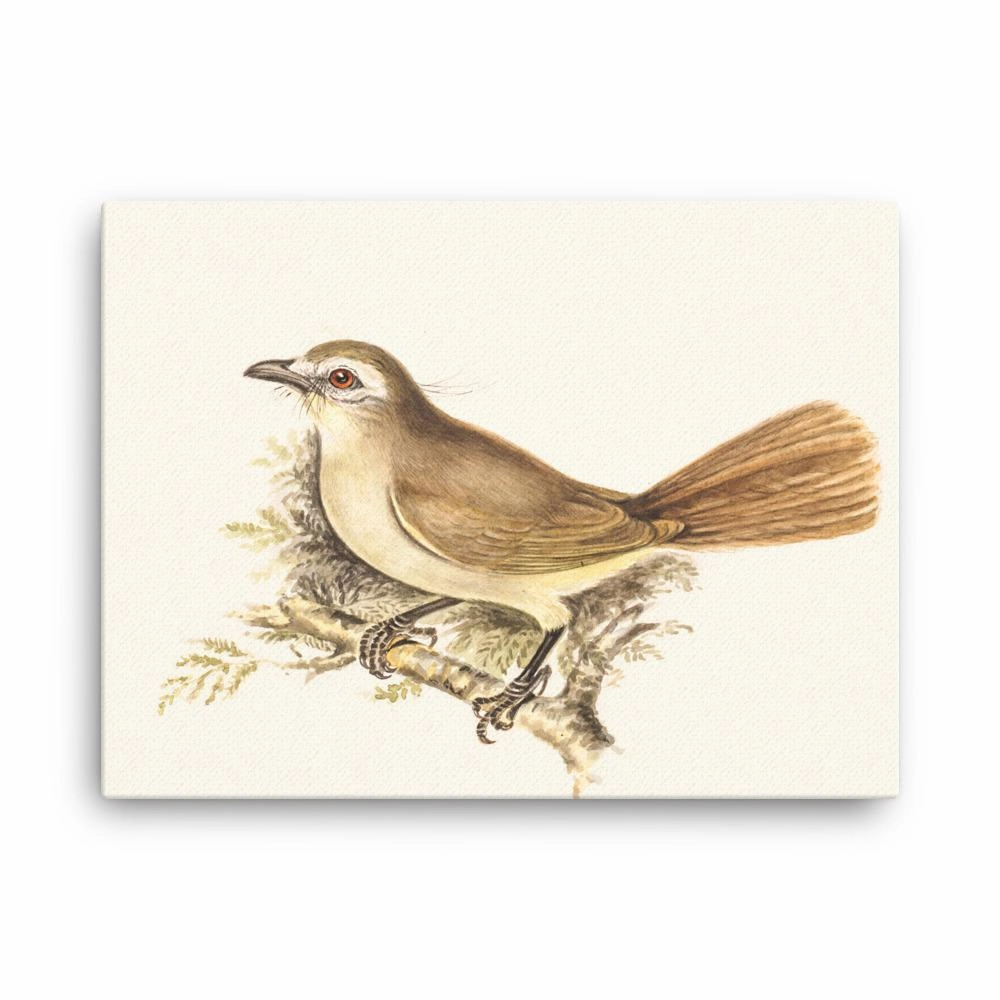 Lark - canvas canvas mural art