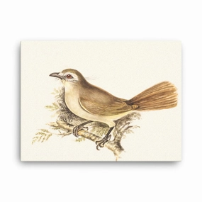 Lark - canvas canvas mural art