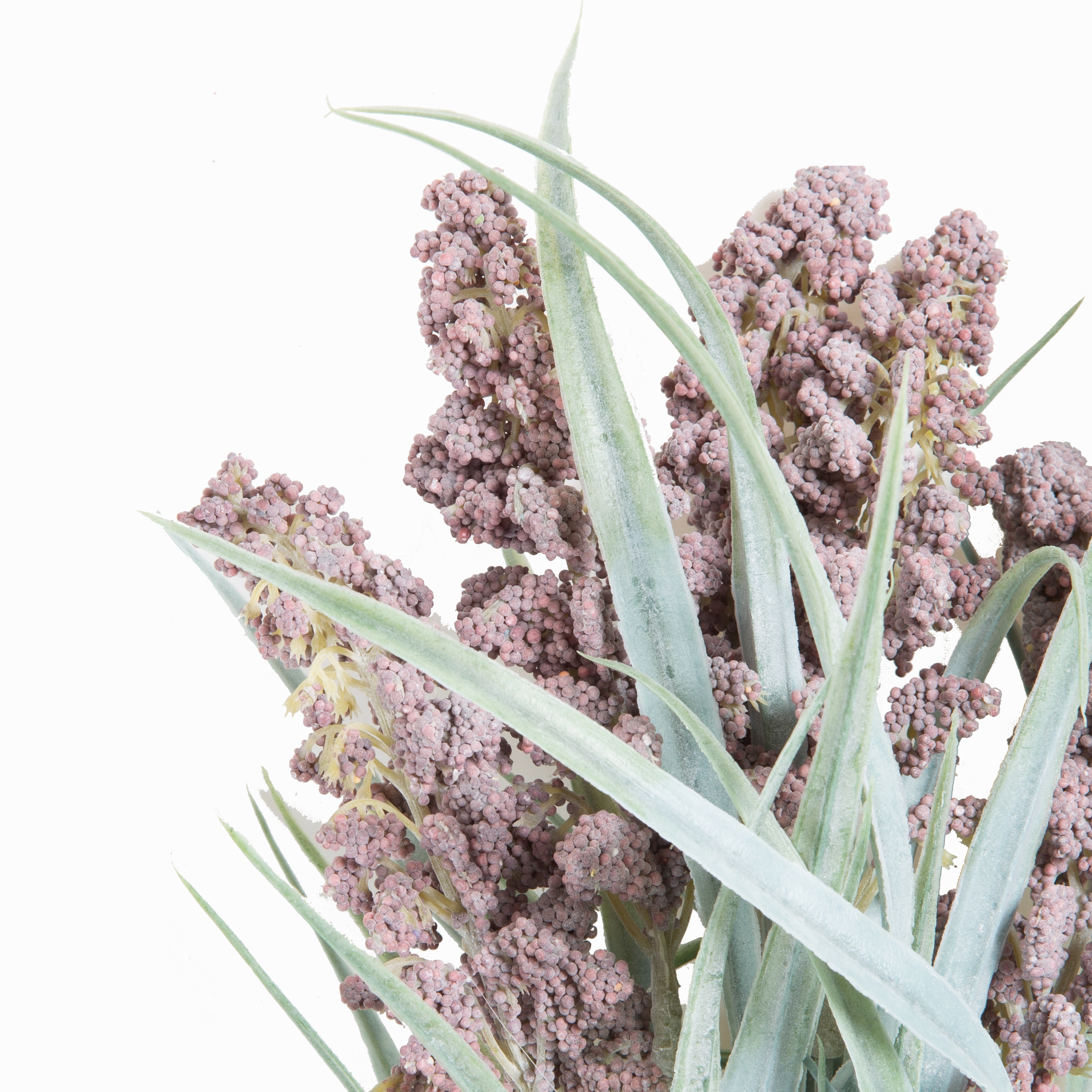 Lavender Bush Stem