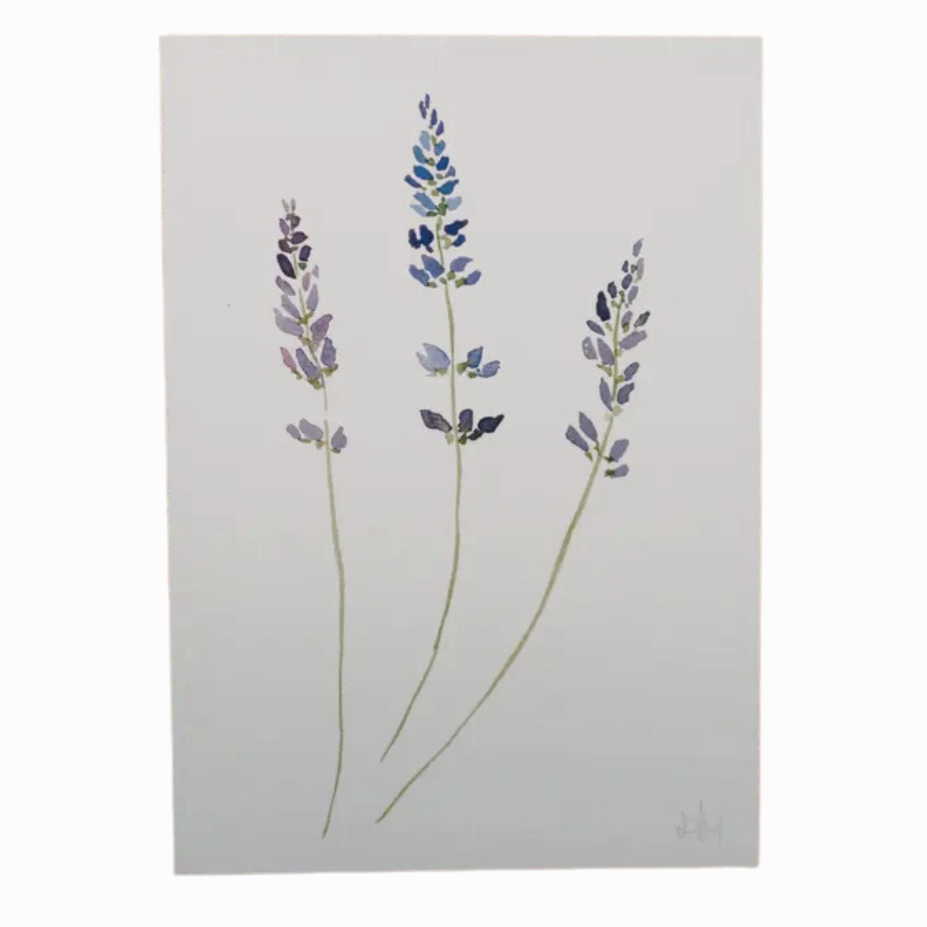 Lavender Watercolor Print 5" x 7" framed wall decor