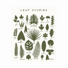 Leaf Studies 16 x 20 Print framed wall decor