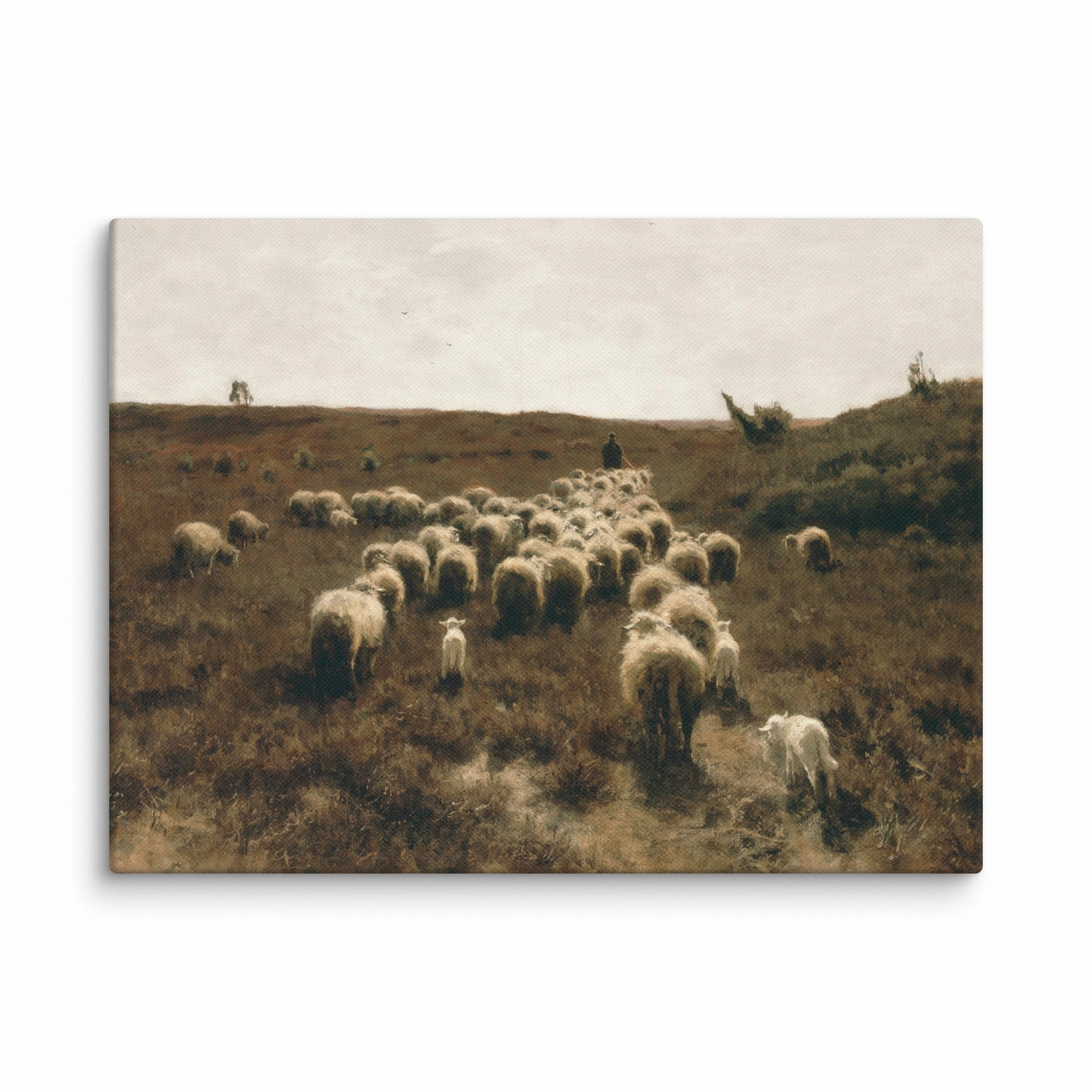 Leinwand - Anton Mauve, The Return of the Flock, Laren