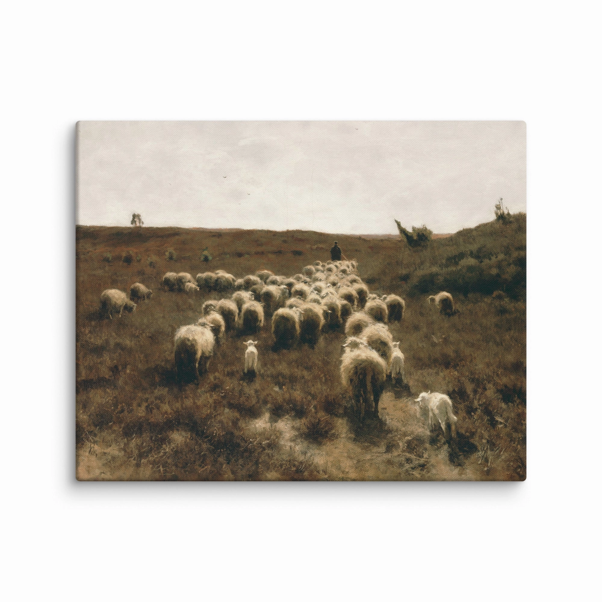 Leinwand - Anton Mauve, The Return of the Flock, Laren