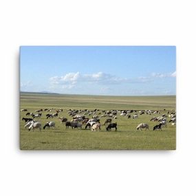 Leinwand - Herd of sheep graze in Mongolian steppe canvas mural art