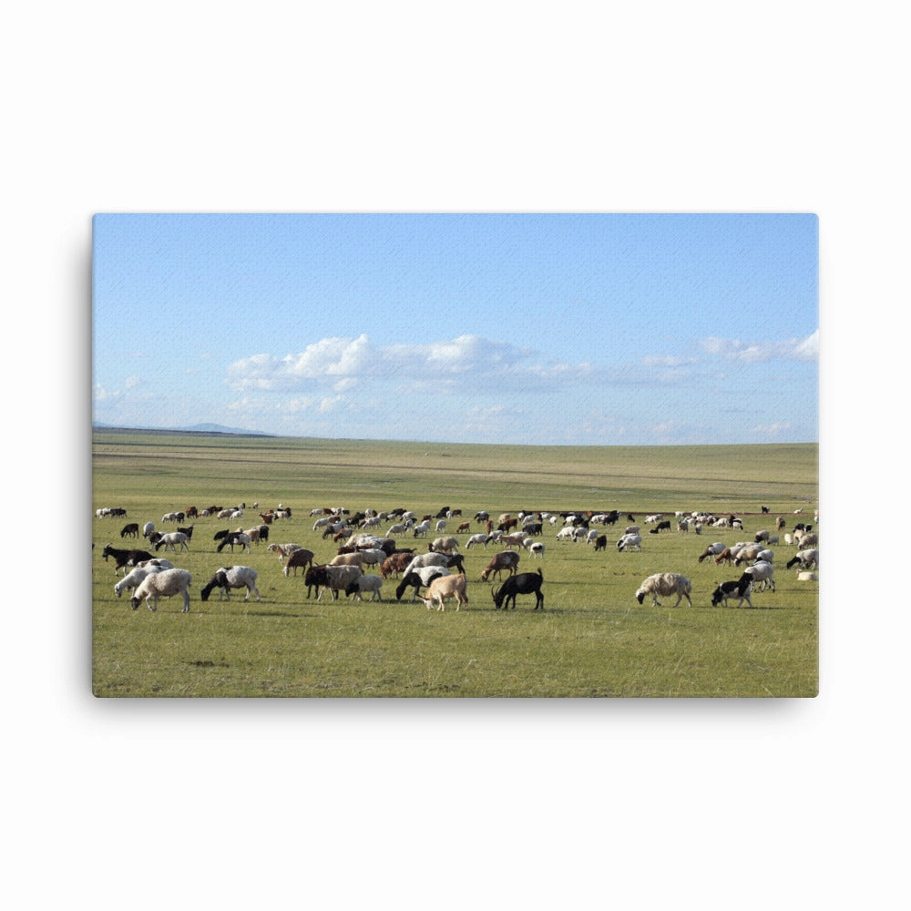 Leinwand - Herd of sheep graze in Mongolian steppe canvas mural art