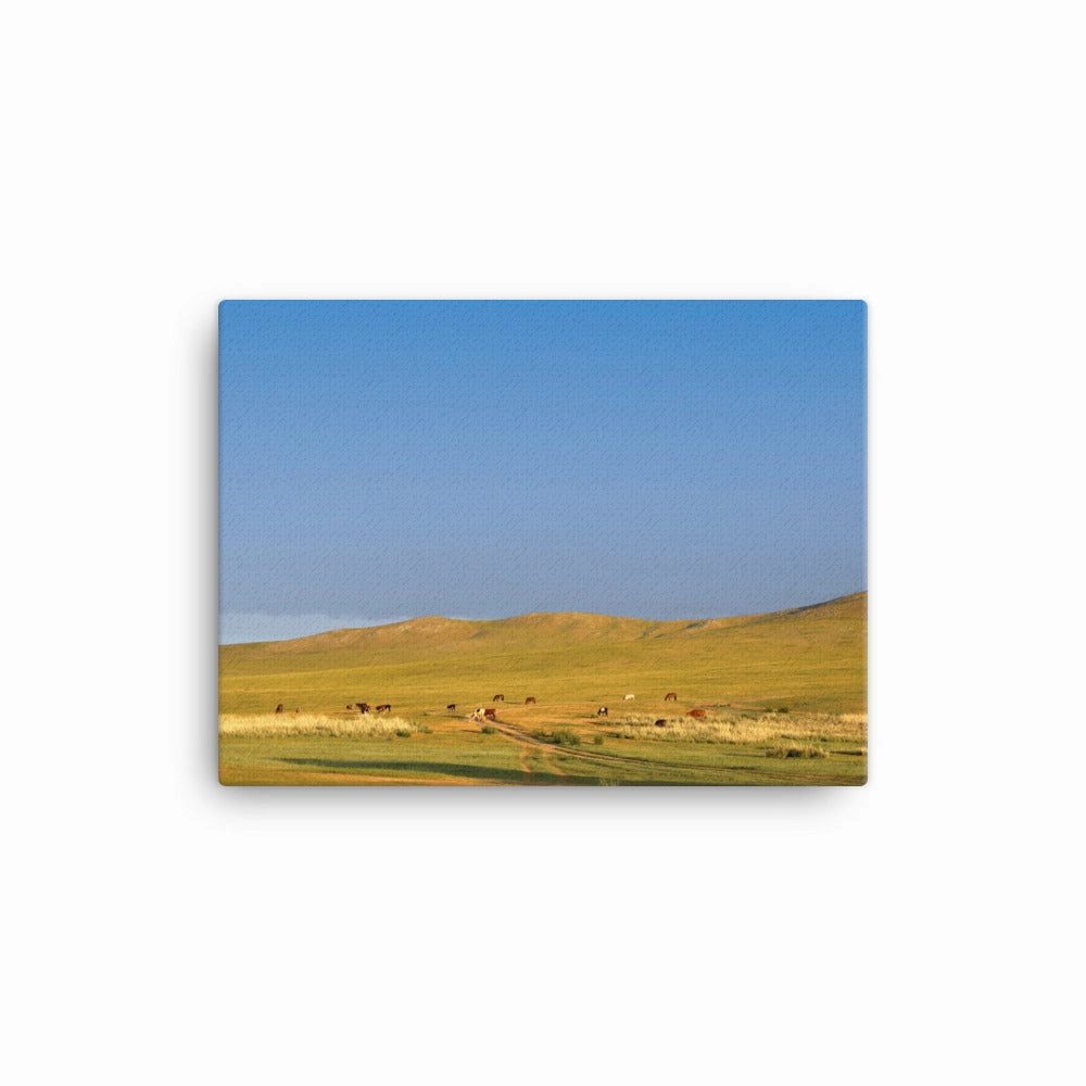 Leinwand - Steppe on a calm morning, Mongolia
