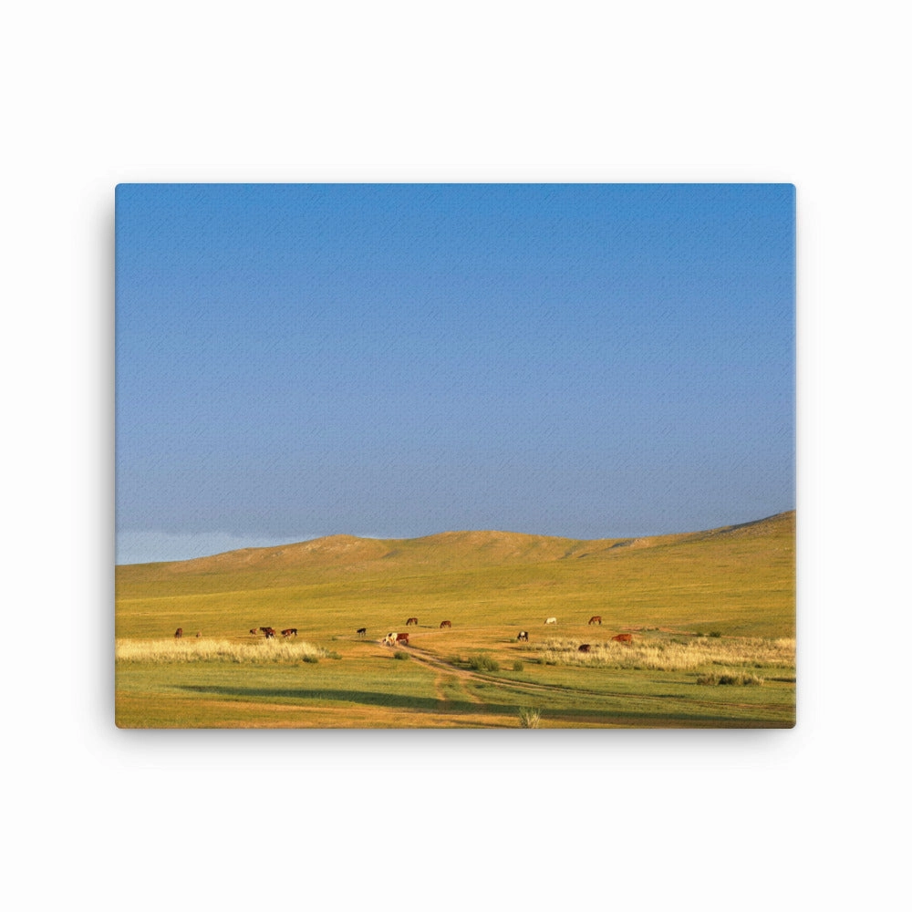 Leinwand - Steppe on a calm morning, Mongolia