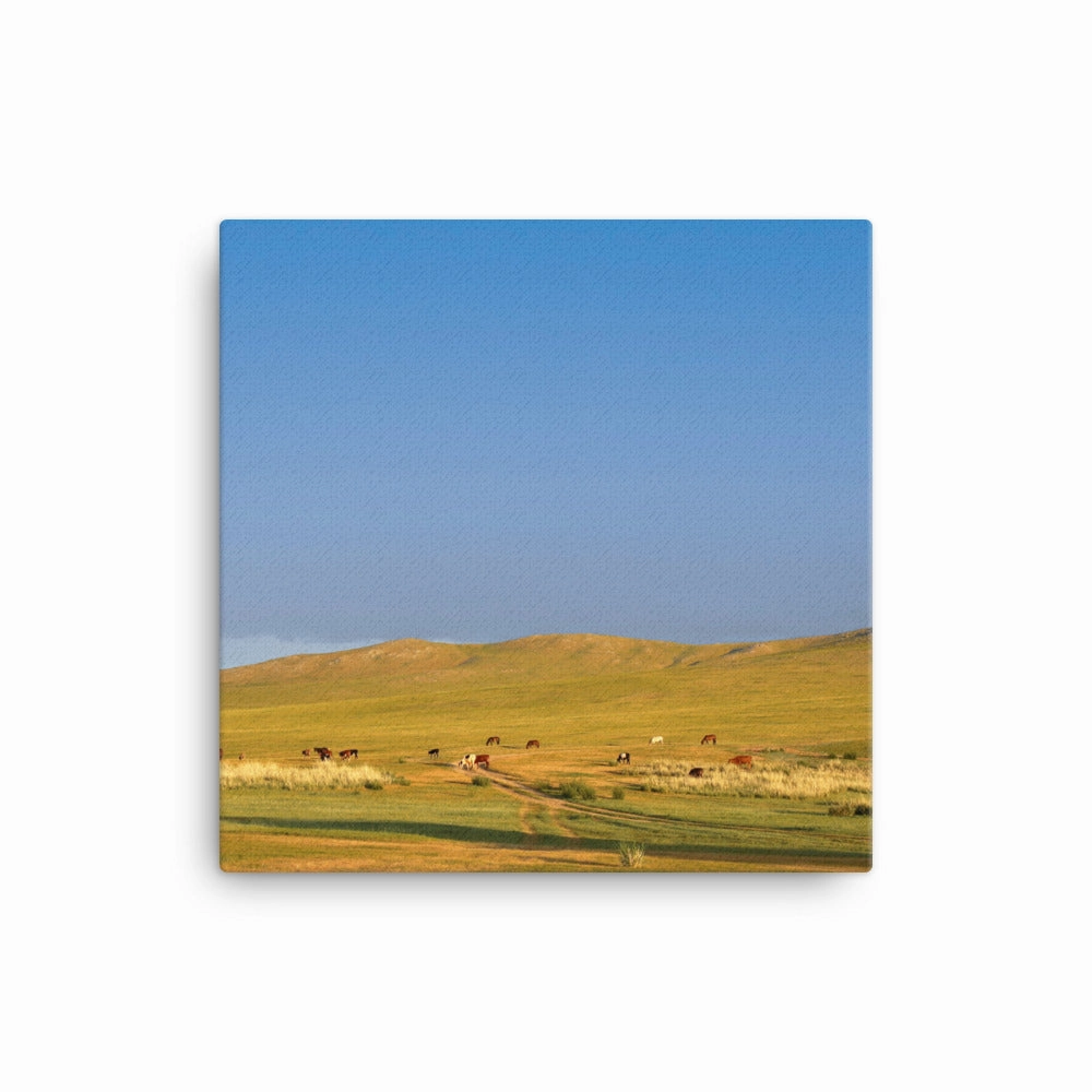 Leinwand - Steppe on a calm morning, Mongolia