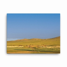 Leinwand - Steppe on a calm morning, Mongolia canvas mural art