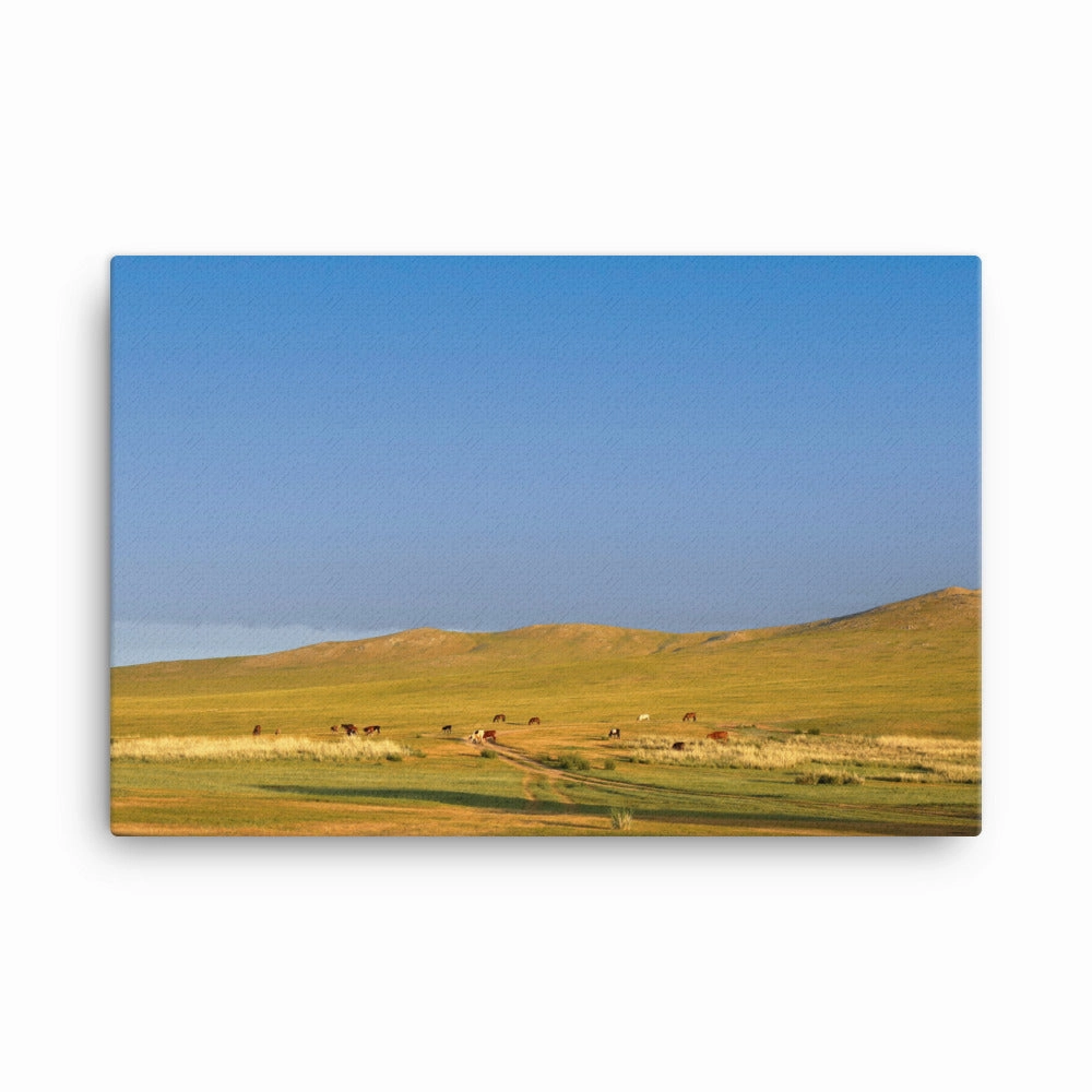 Leinwand - Steppe on a calm morning, Mongolia