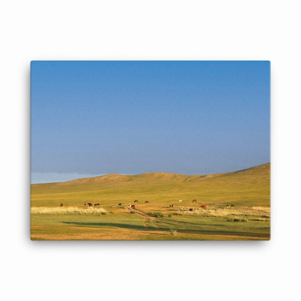 Leinwand - Steppe on a calm morning, Mongolia canvas mural art
