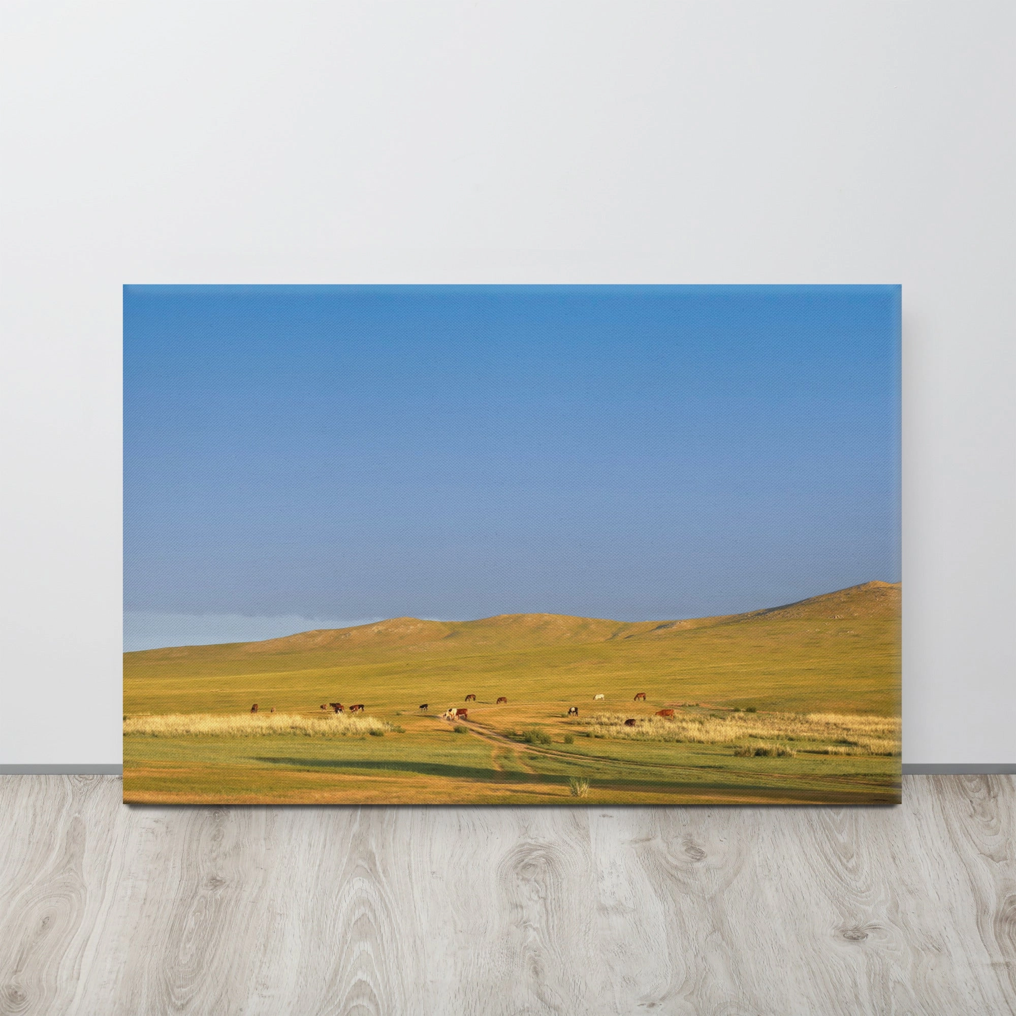 Leinwand - Steppe on a calm morning, Mongolia