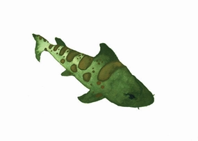 Leopard Shark Watercolor Print 5" x 7" framed wall decor