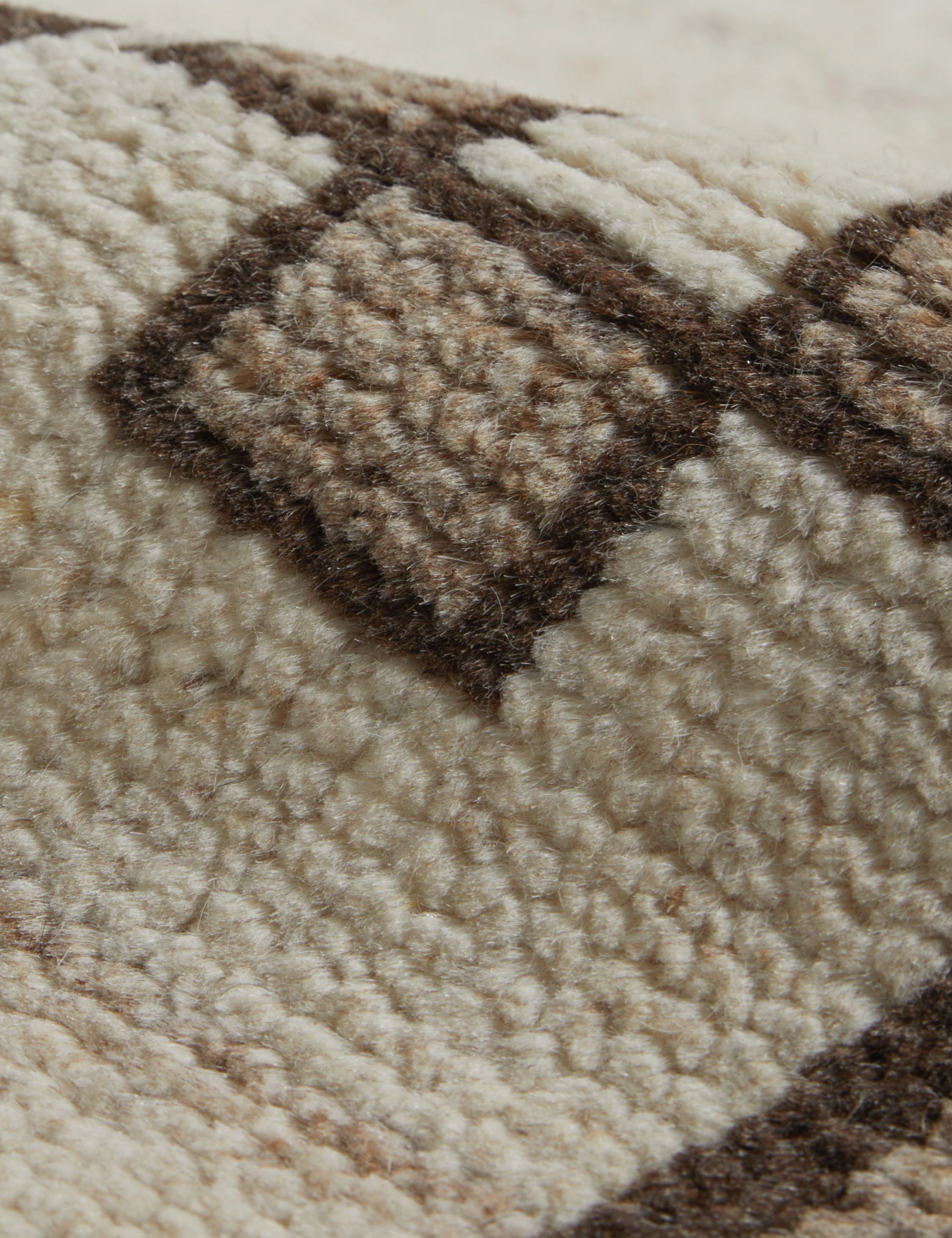 Leyli Hand-Knotted Wool Rug