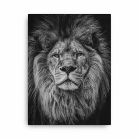 lion - canvas canvas mural art