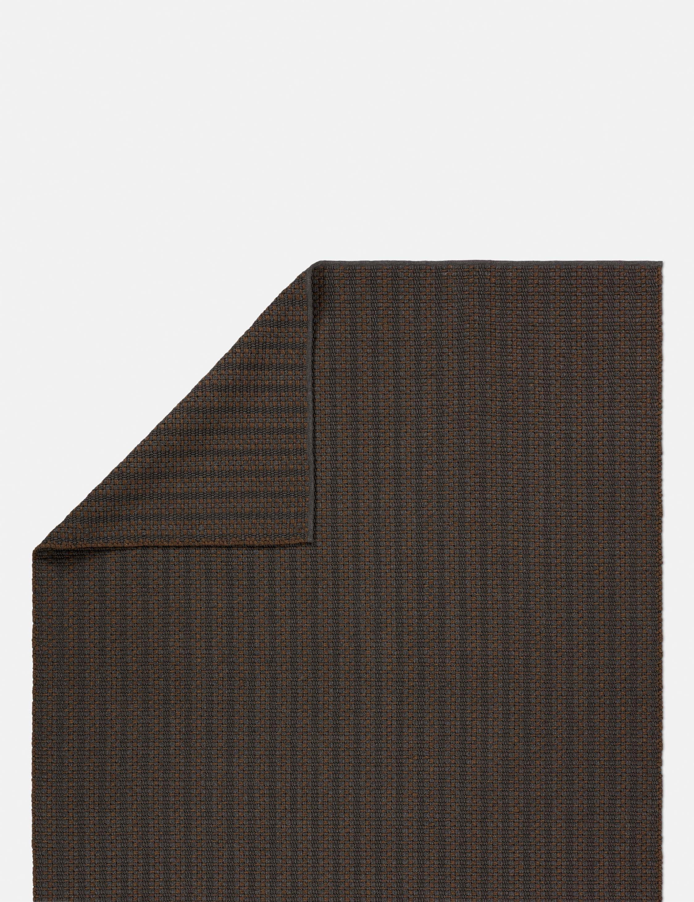 Liu Indoor / Outdoor Rug