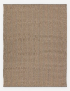 Liu Indoor / Outdoor Rug trendy fashion rug