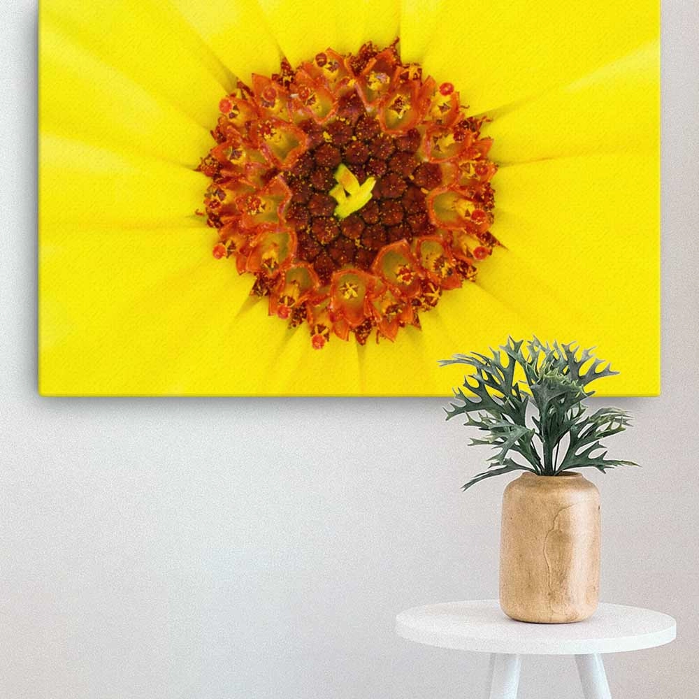Marigold - canvas
