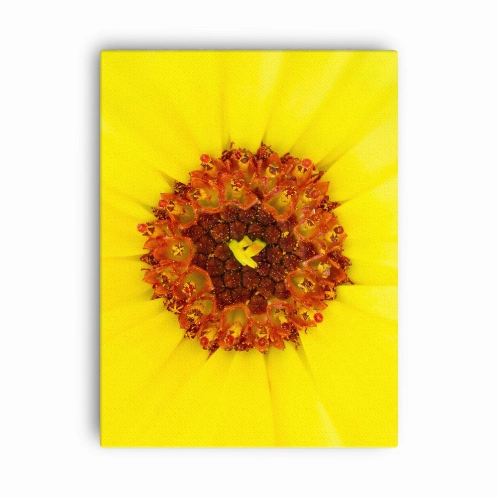 Marigold - canvas canvas mural art