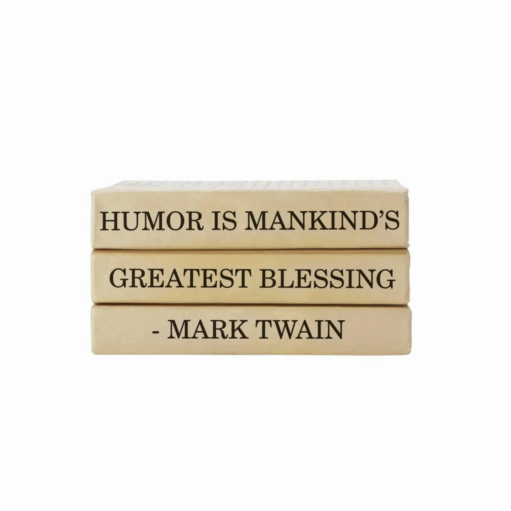 Mark Twain Quote Decorative Books Bundle home display ornament