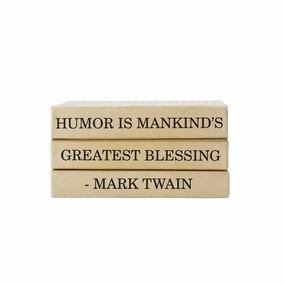 Mark Twain Quote Decorative Books Bundle home display ornament