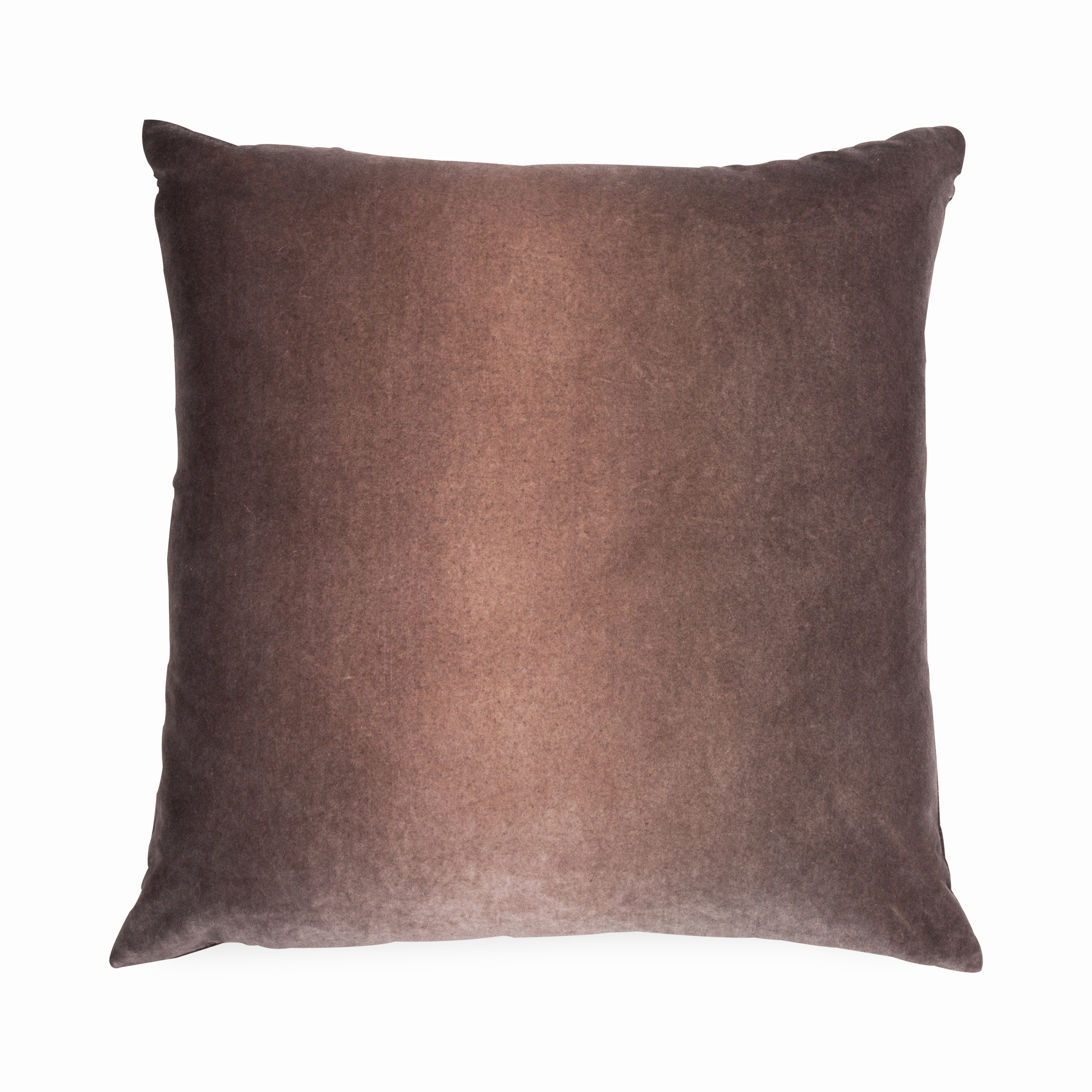 Matte Velvet Pillow elegant wall decor