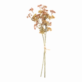 Meadow Sedge Stem elegant wall decor