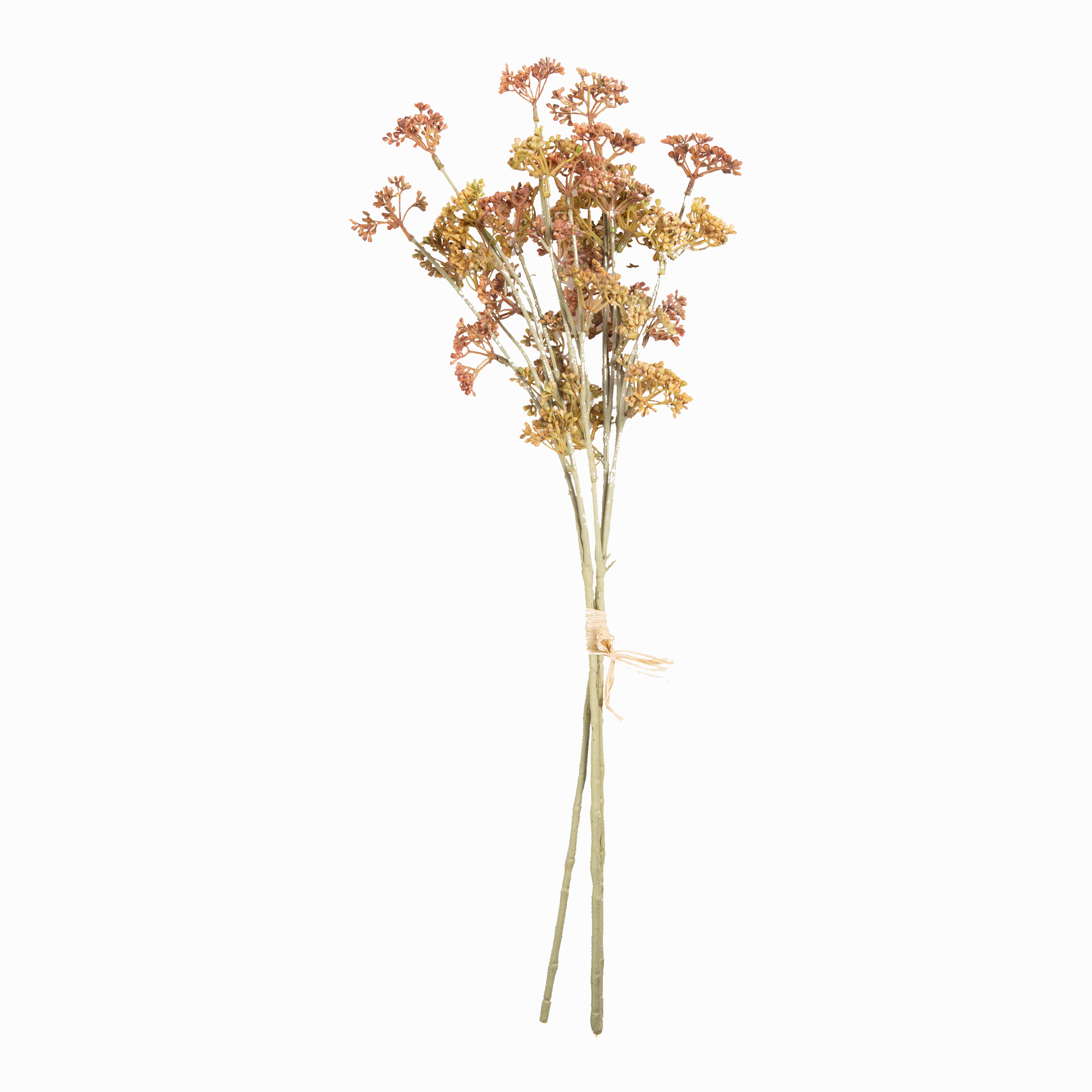 Meadow Sedge Stem elegant wall decor
