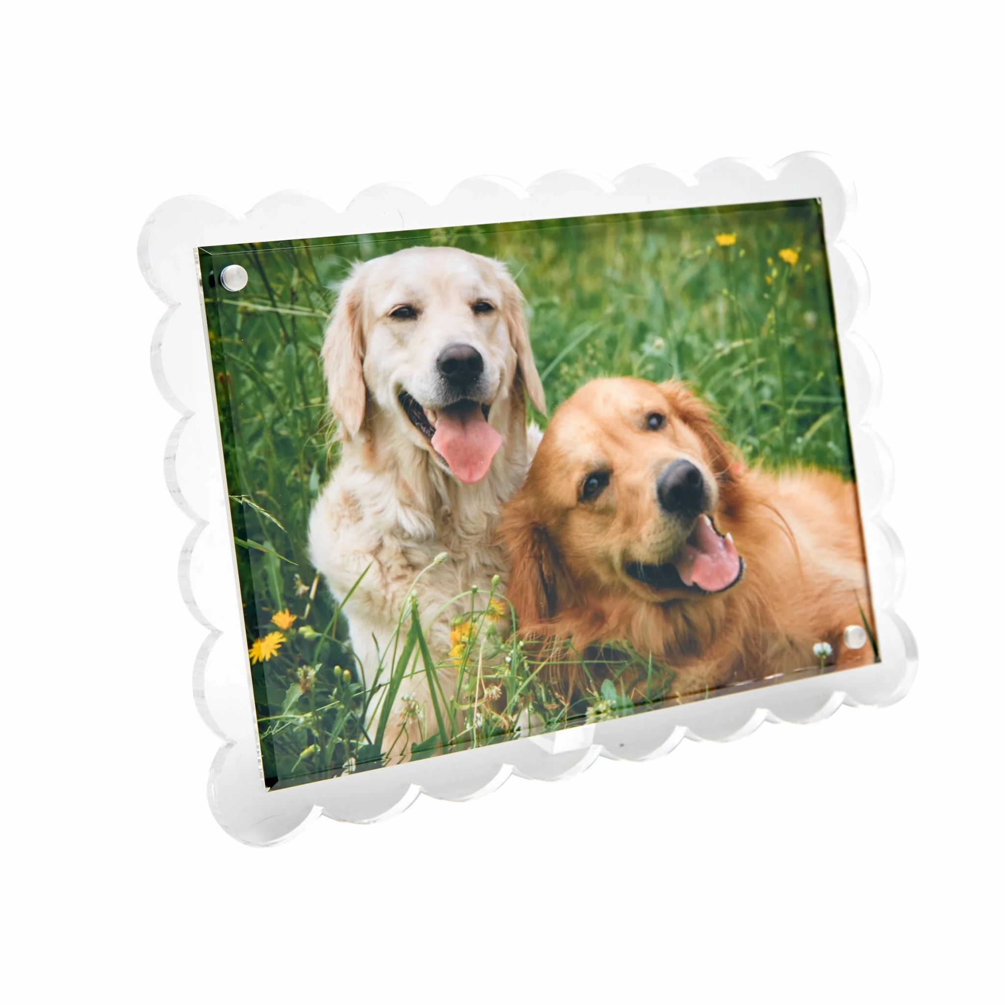 Medium Scalloped Photo Frame
