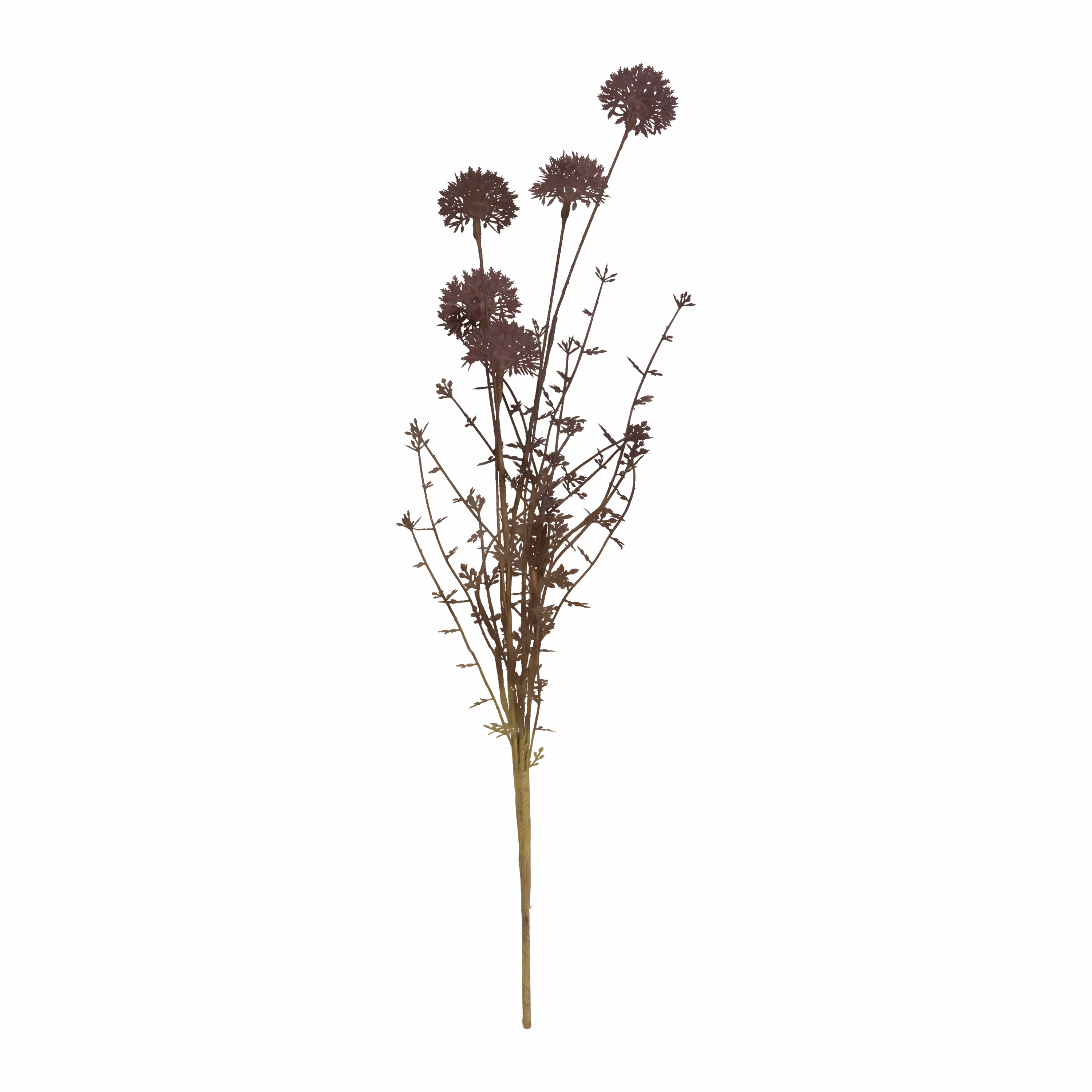 Melaleuca Stem elegant wall decor