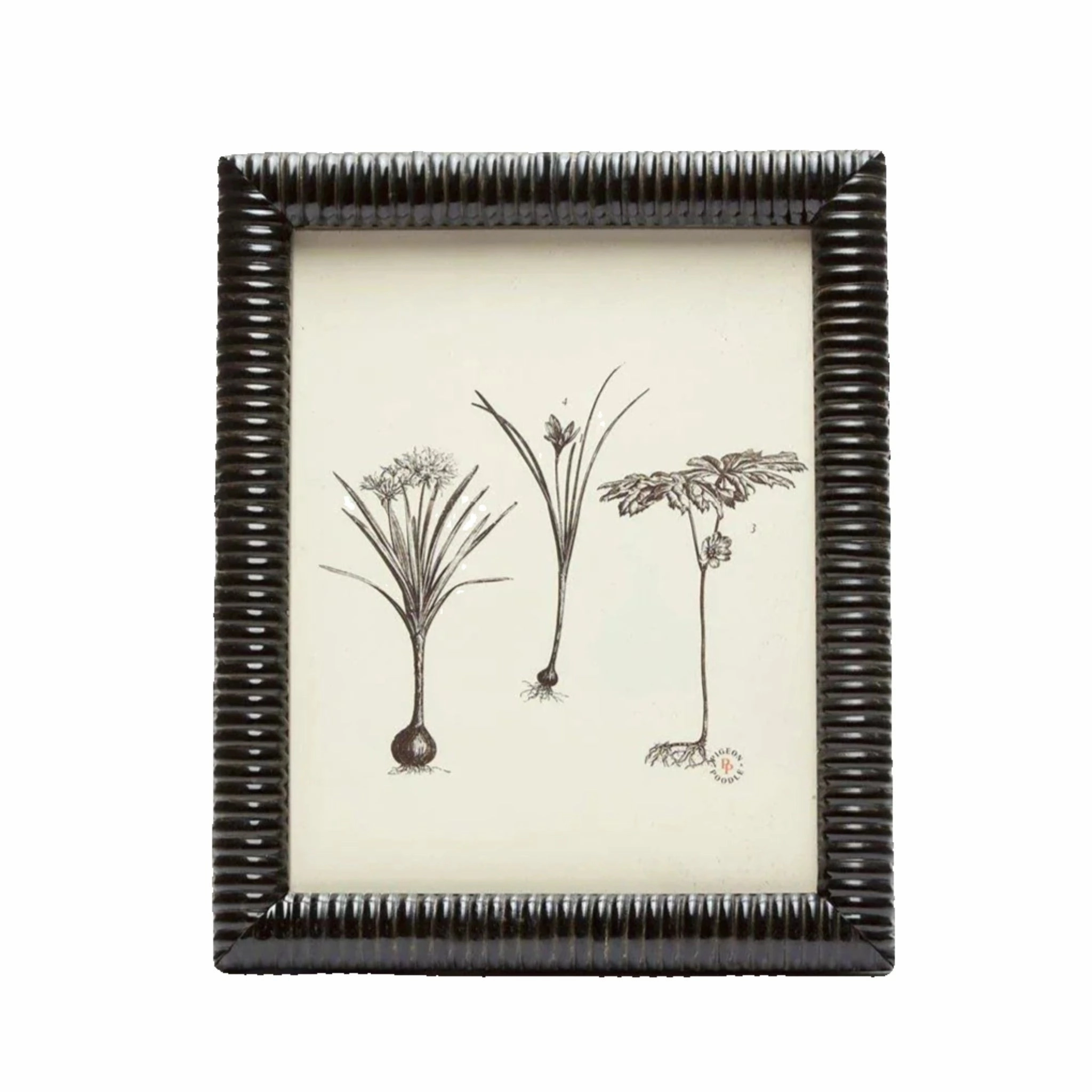 Metz Black Horn Picture Frame in Three Different Sizes