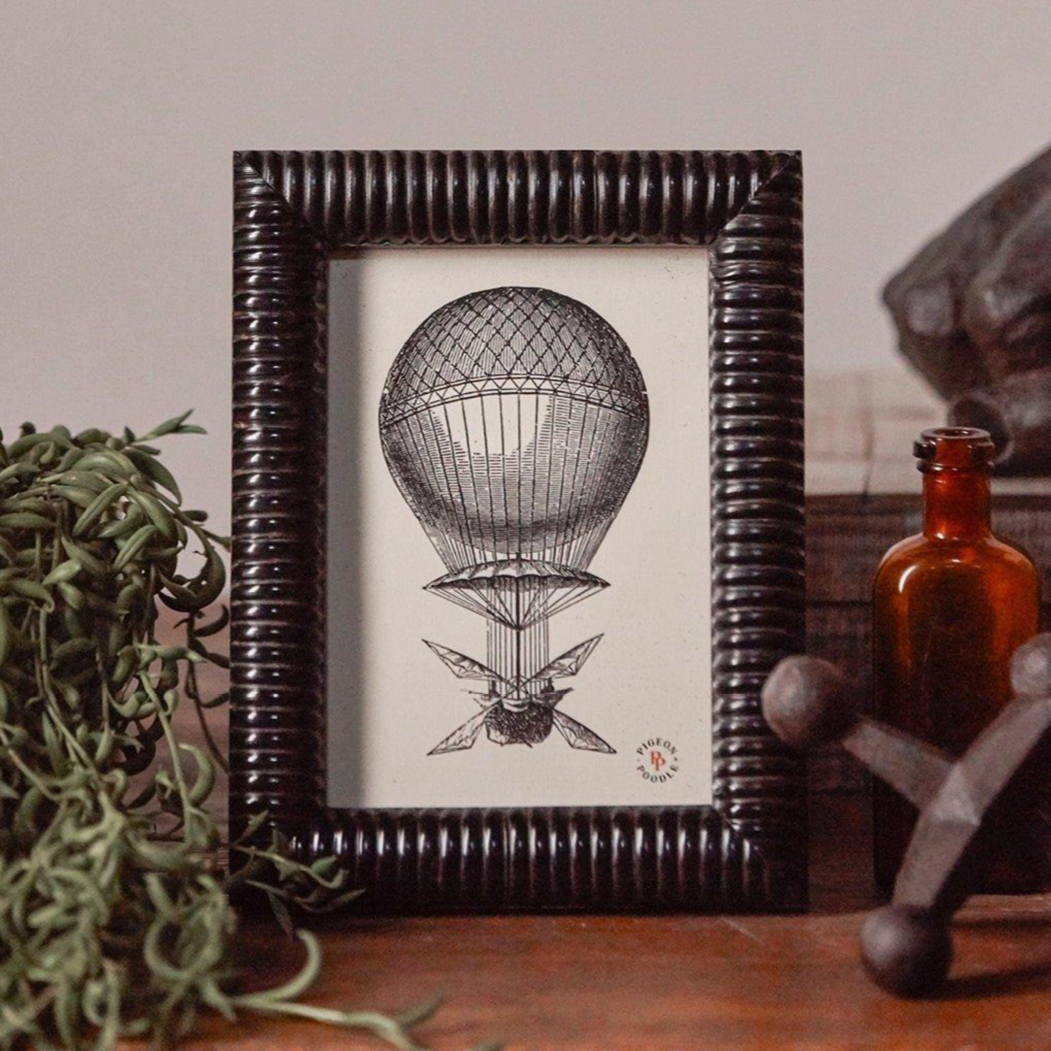 Metz Black Horn Picture Frame in Three Different Sizes