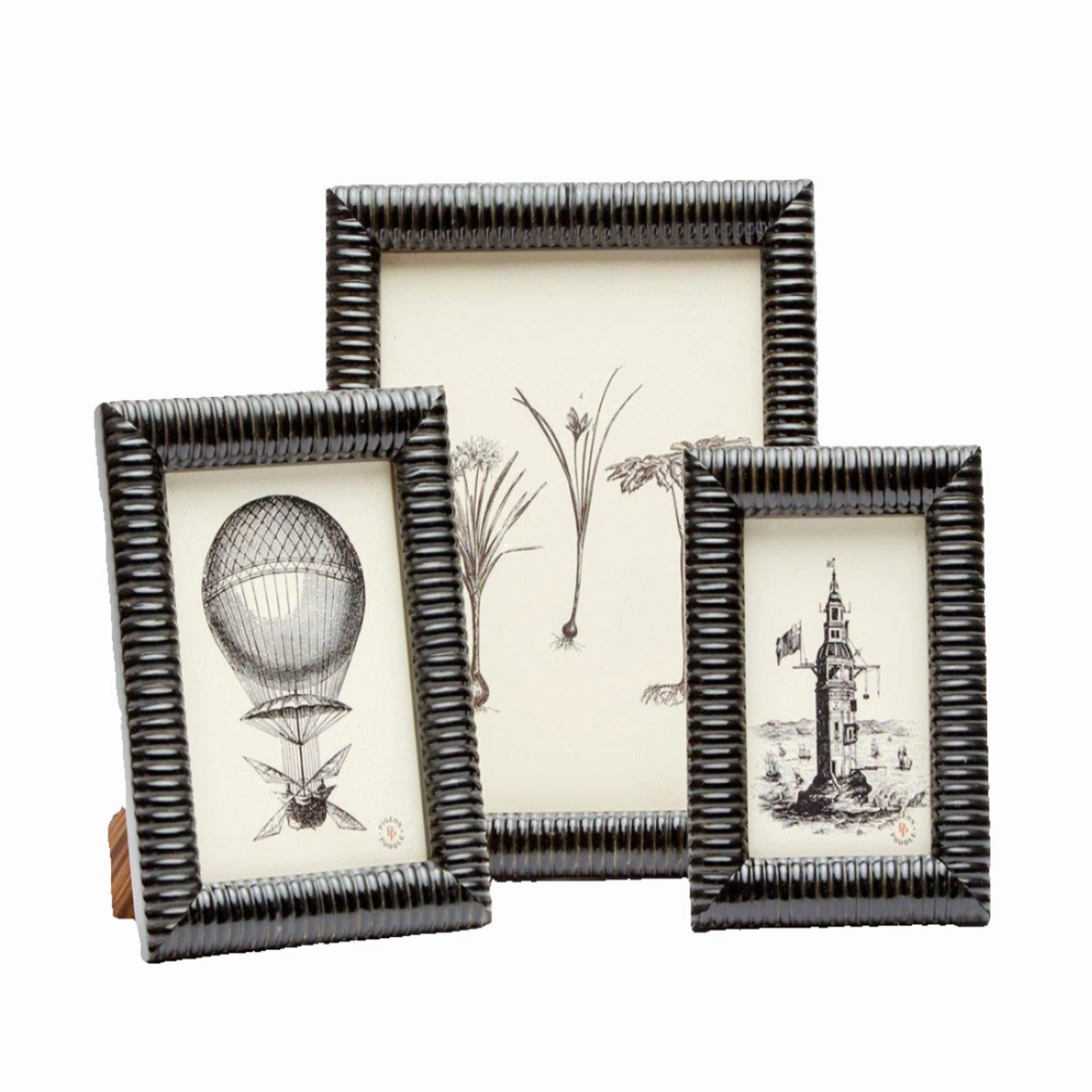Metz Black Horn Picture Frame in Three Different Sizes home display ornament