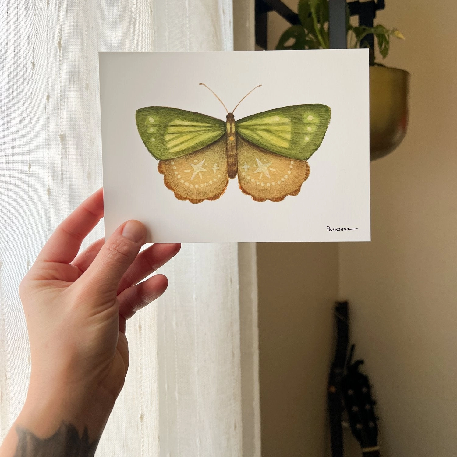 Mineral Moth: Peridot - Art Print