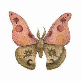 Mineral Moth: Rhodonite - Art Print framed wall decor