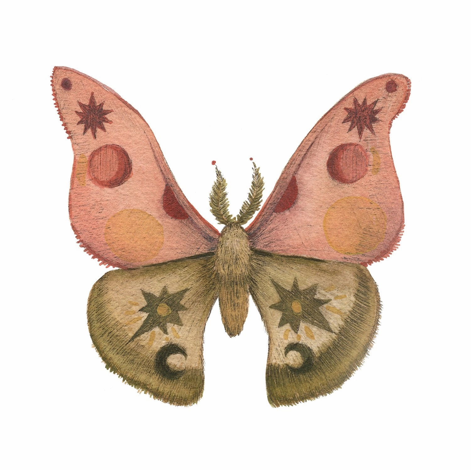 Mineral Moth: Rhodonite - Art Print framed wall decor