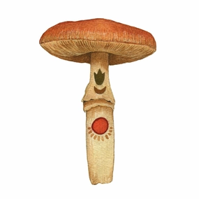 Mineral Mushroom: Carnelian - Art Print framed wall decor