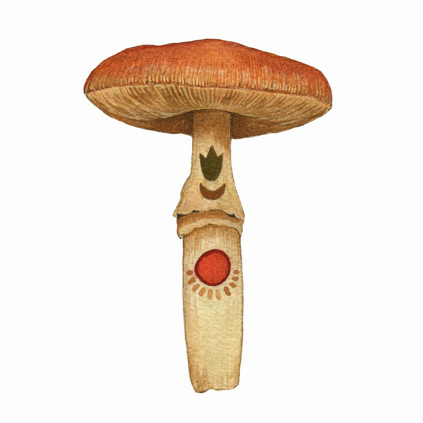 Mineral Mushroom: Carnelian - Art Print framed wall decor