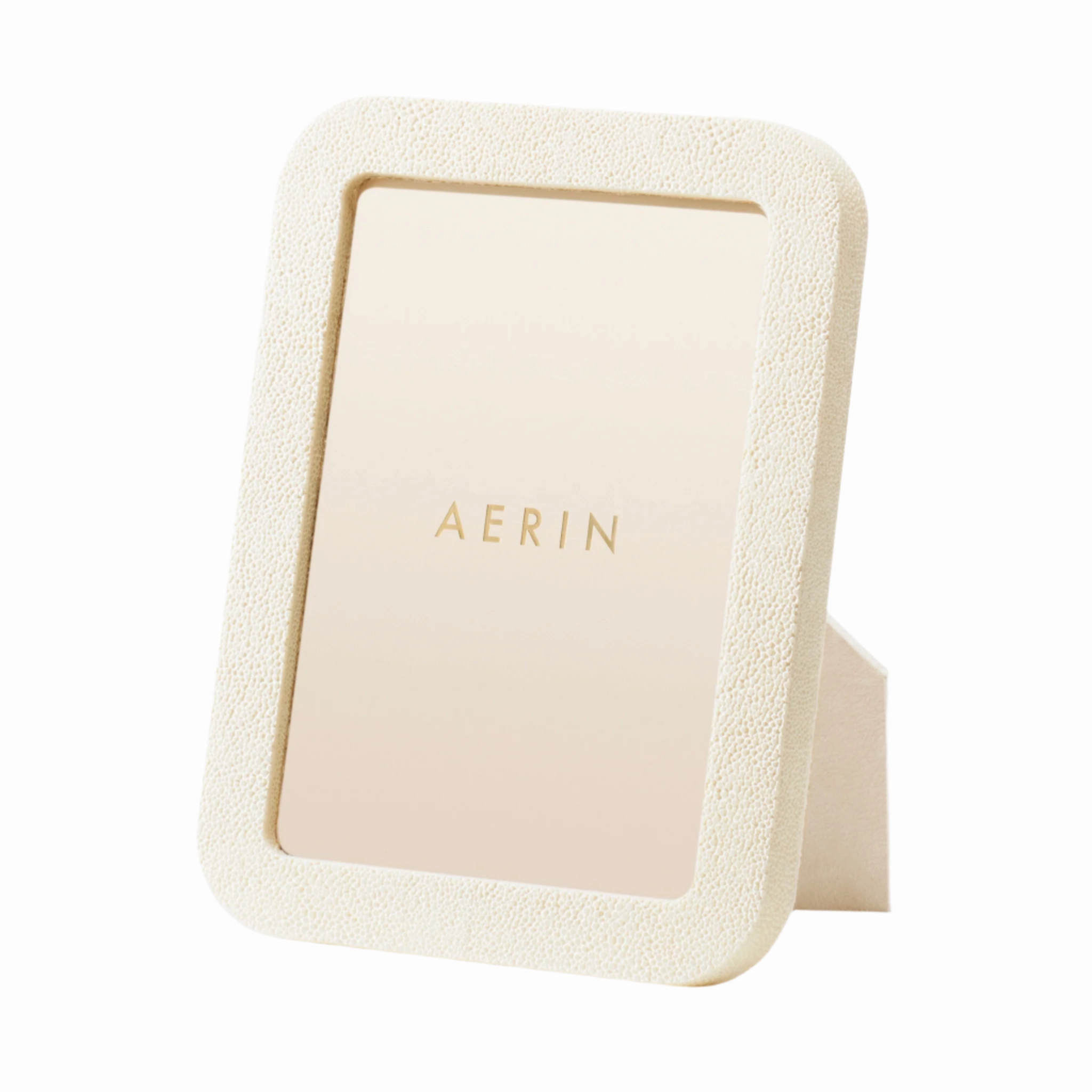 Modern Shagreen Frame home display ornament