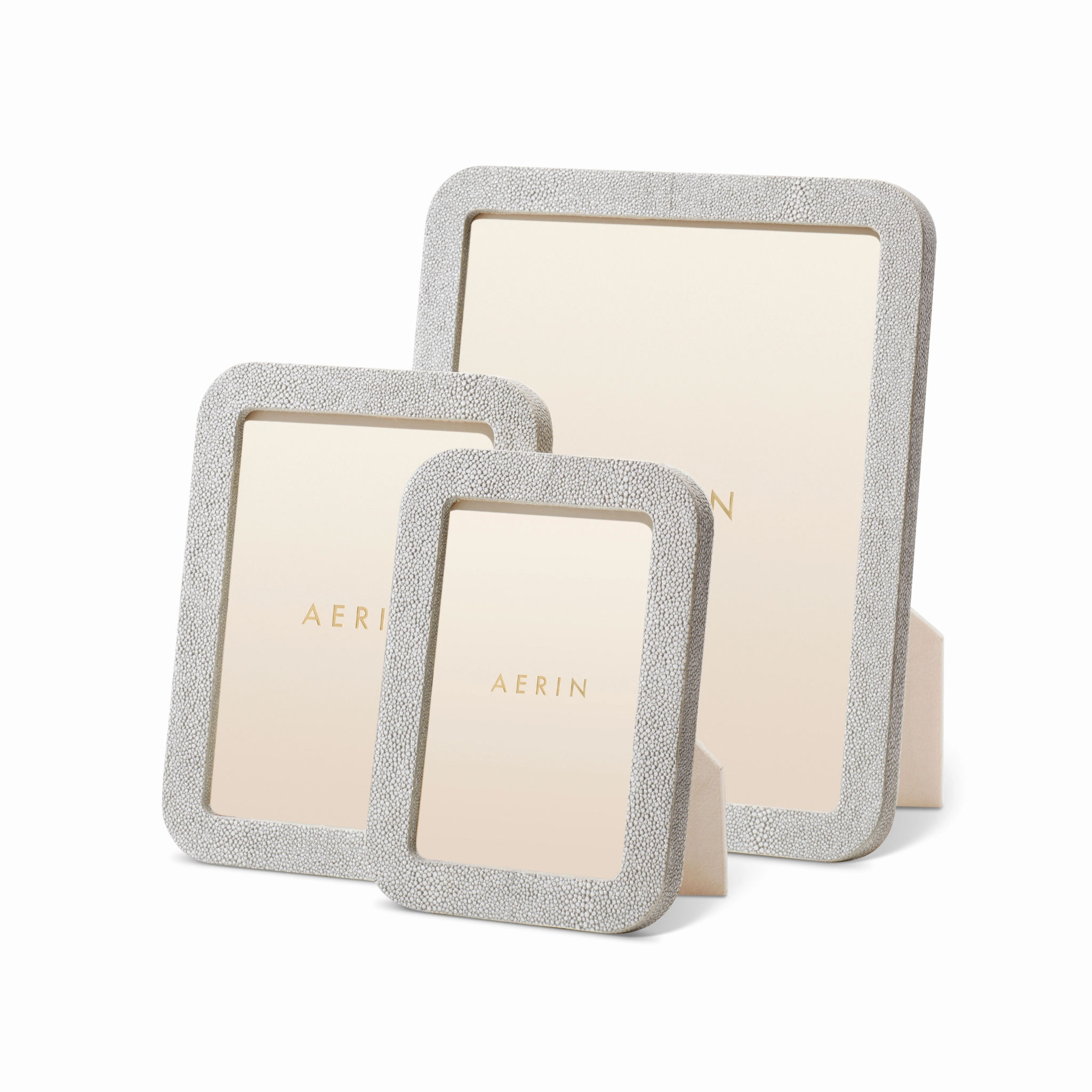 Modern Shagreen Frame